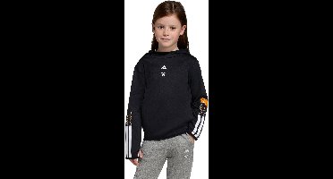 adidas Sportswear ADIDAS MINECRAFT 3 STRIPES TRAINING HOODIE - Kinderen - Zwart