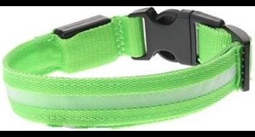 *** Led Honden Halsband - Groen - L - 45 - 52 cm - van Heble® ***