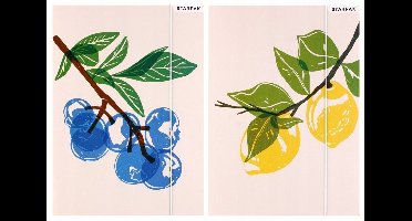 STARPAK A4 map met elastiek - Fruitcollectie