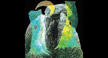 Plantoid - Flare (CD)