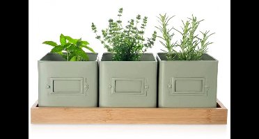 Orion Greenish Serie - Kruidenpot Met Onderzetter - Metaal En Bamboe - Set Van 3