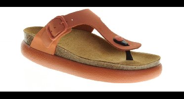 Scholll Anais Chuncky maat 40