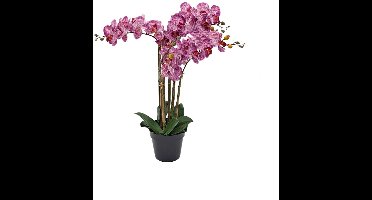 Kunst Phalaenopsis Orchidee In Pot x5 60 cm - Tiger Cerise