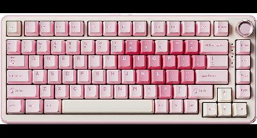 Mechanical Keyboard - Mechanisch Toetsenbord Gaming