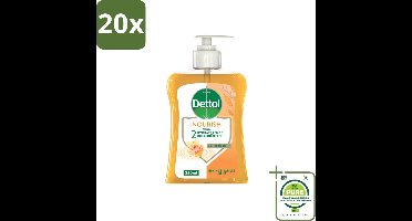 20 x Dettol - Handzeep - Nourish - Honing & Vanille - 250 ml - Grootverpakking - Antibacteriële Handzeep - Handzeep Met Honing - Handzeep Met Vanille - Verzorgende Handzeep - Manuka Honing