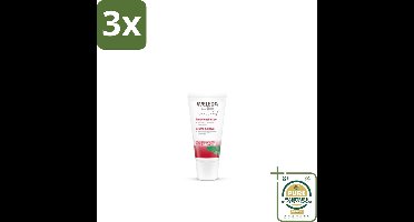 3 x WELEDA - Tandvleesbalsem - 30 ml - Grootverpakking - Tandvleesbalsem - Tandvlees Verzachting - Tandvlees Versterking - Natuurlijke Tandzorg - Tandvleespreventie