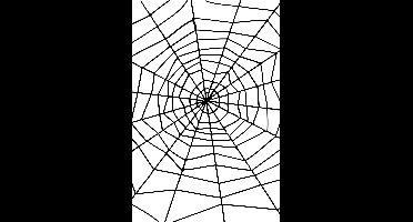 SMIFFY'S - Halloweenspinnenweb