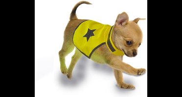 Veiligheidsjasje Fluo