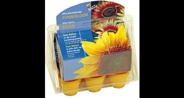 Buzzy  Zonnebloemen Kweekset