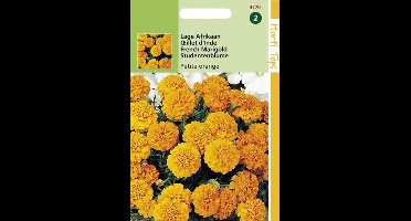 Hortitops Zaden - Tagetes Patula Nana Petite Orange