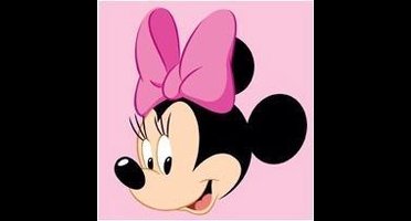 Borduurpakket voorgedrukt Disney Minnie Mouse