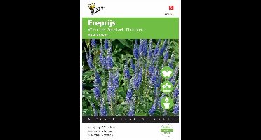 Buzzy® Veronica Spicata (Ereprijs) Blue Rocket