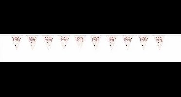 Unique Vlaggenlijn 13 Jaar 274 Cm Wit/zalmroze