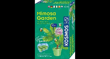 Mimosa Garden