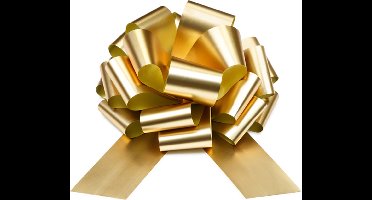 PartyDeco - Cadeaustrik Goud - 30 cm