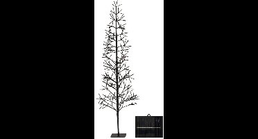 Kerstboom Lumineo Zwart MicroLED