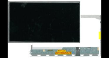 17.3 inch LCD scherm 1600x900 Mat 40Pin