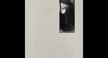 De Beren Gieren - Broensgebuzze EP (10" LP)