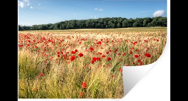 Muurstickers - Sticker Folie - Wilde Klaprozen in een groot veld - 30x20 cm - Plakfolie - Muurstickers Kinderkamer - Zelfklevend Behang - Zelfklevend behangpapier - Stickerfolie