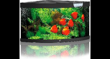 Juwel Aquarium Trigon 350 Led 123x87x65 cm - Aquaria - Zwart Ca. 350 L