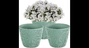 Prosperplast Plantenpot/bloempot Splofy - 3x - mint groen - kunststof - D16 x H13 cm - binnen/buiten - stijlvol