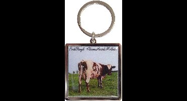 Pink Floyd - Atom Heart Mother Sleutelhanger - Multicolours