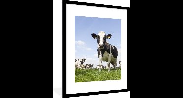 PosterMonkey - Fotolijst - Poster - Koe - Dieren - Natuur - Gras - Landschap - Poster met kader - 60x80 cm - Frame - Poster natuur - Foto lijst - Poster koe
