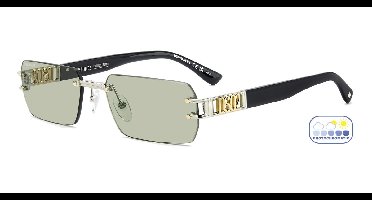 Dsquared2 D2 0189/S Gold palladium 57/18/145 MAN Zonnebrillen
