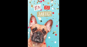 Depesche verjaardagsboek speelgoed - vrolijk cadeau voor kinderen.