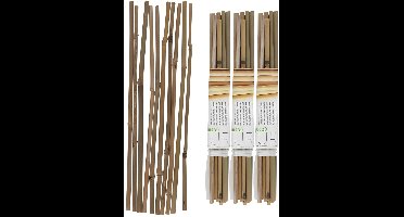 Gerimport Plantenstokken - 30x stuks - bamboe - 30 cm - plantensteun / tonkinstokken