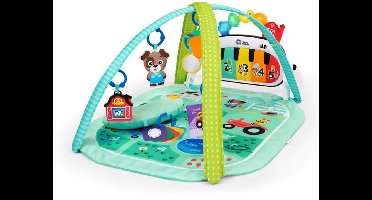 Discovery gym 4in1 kickin tune meadow - Baby Einstein - vanaf 0 maanden