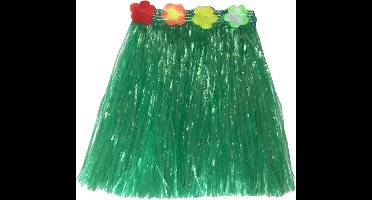 New Age Devi - Hawaii thema verkleed rokje - raffia - groen - 40 cm - rieten hula rokje voor volwassenen kan herschreven worden alsHawaii thema verkleedrokje - raffia - groen - 40 cm - rieten hula-rok voor volwassenen