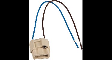 G9 Fitting + Bevestiging Achterkant Voor LED Lampen