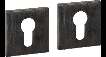 Intersteel Cilinderrozetten verdekt 53x53x6mm PVD antraciet