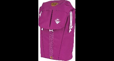 NITRO Vrije tijd rugzak Rugzak met laptopvak Urban Collection Cypress Backpack 28L Grateful Pink Paars