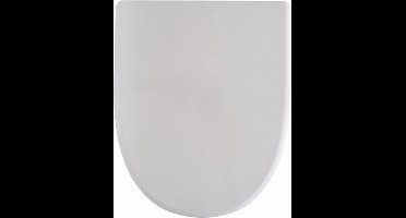 Geberit 300 Basic closetzitting met deksel topfix wit