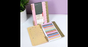 Motivatieboekje Voor Doelen En Gewoontes van Kikkerland