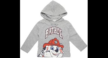 Paw Patrol Longsleeve Hoodie - Maat 110 - Marshall Shirt met Capuchon - Grijs