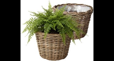 VD Leeden Plantenmand Klassiek - 2x - rond - bruin - 35 x 25 cm - rotan - gevlochten riet - bloempot