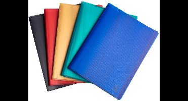 Exacompta 20x Showmappen in halfharde gerecyclede PP met 20 tassen Opak - Geassorteerd - 78520E
