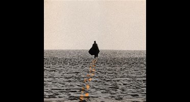 If The Evening Were Daw