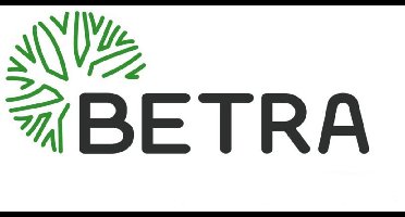 Platte kwast 5 cm breed