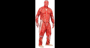 Anatomie kostuum Bente