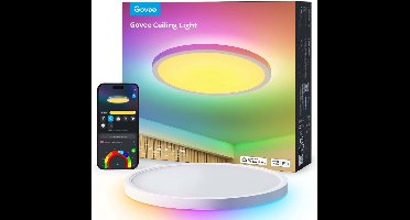 Govee Ceiling Light (12 inch)