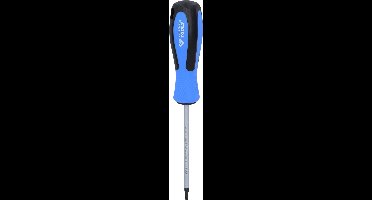 BRILLIANT TOOLS Schroevendraaier TORX T15 x 100 mm - BT031044