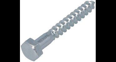 Houtdraadbouten - DIN571 Zeskant - M16 x 120mm - Verzinkt (25 stuks)