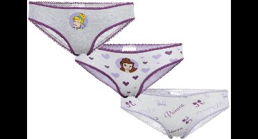 Disney Prinsessen – Slipjes