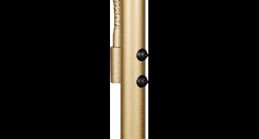 LED Vloerlamp - Torna Sillie - 44.5W - Aanpasbare Kleur - Dimbaar - Goud - Metaal