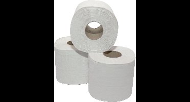 Toiletpapier Tissue recycled  2- laags grijs 400 vel - Pak 40 rol