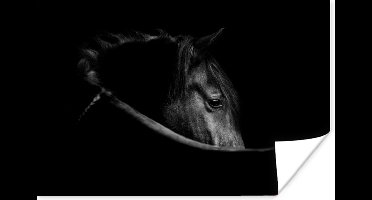 Poster Paarden - Portret - Zwart - Dieren - 30x20 cm